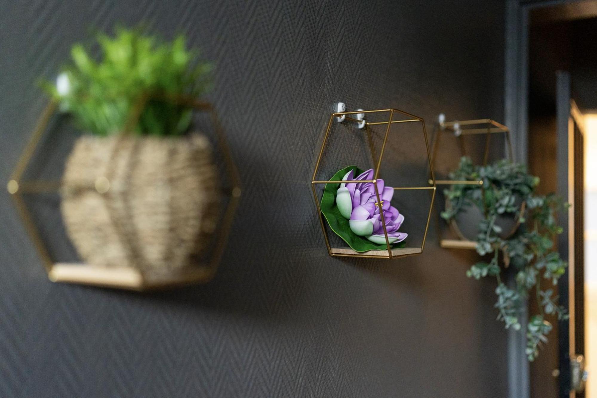 #Nouveau@Nature&Beaut# コニャック エクステリア 写真